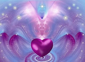 Le Conseil des Neuf : L’AMOUR EST